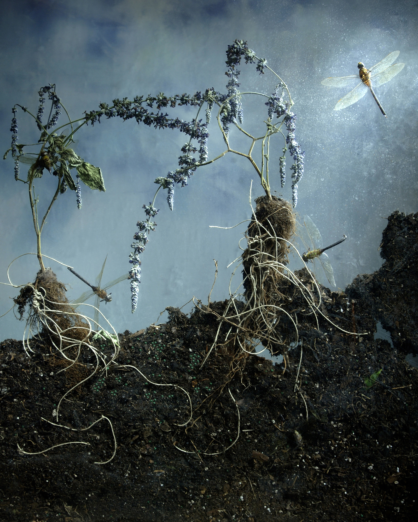 Homage is part of a series titled “Homage,” 2010.