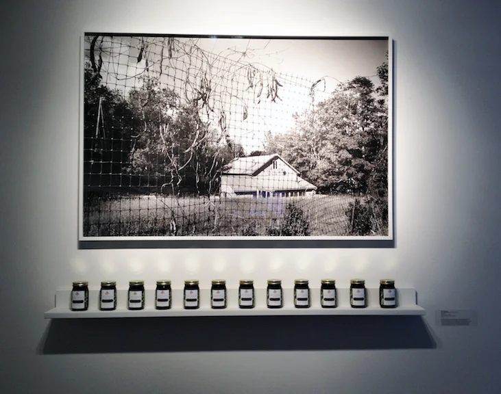 Black Currant Jam, 2014