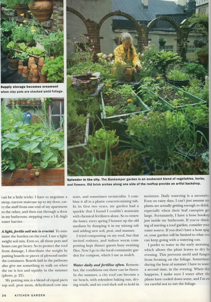Kitchen Garden, 1997