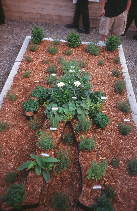 A Gardener's Diary, 2000