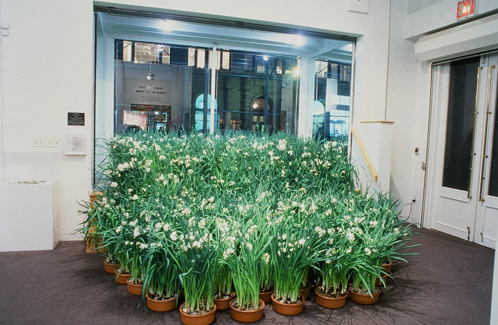 Intoxication or the Echo of One Hand Clapping, 1993-94