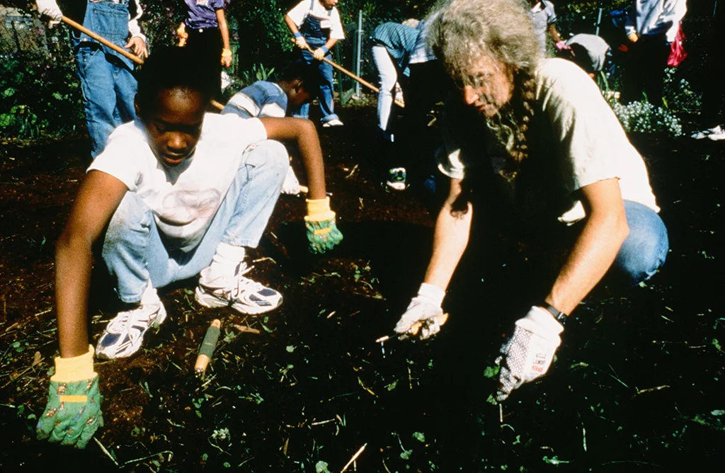 Medicinal Garden, 2000