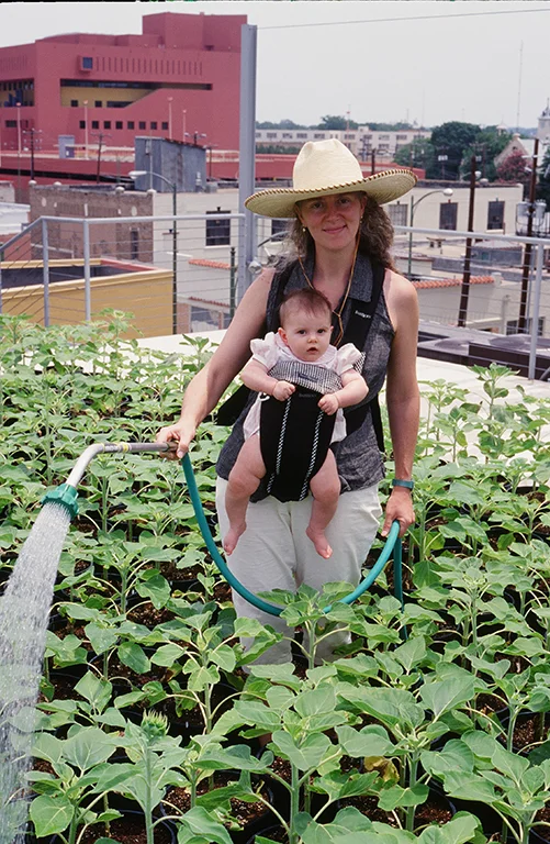 Sophie's Garden, 1998