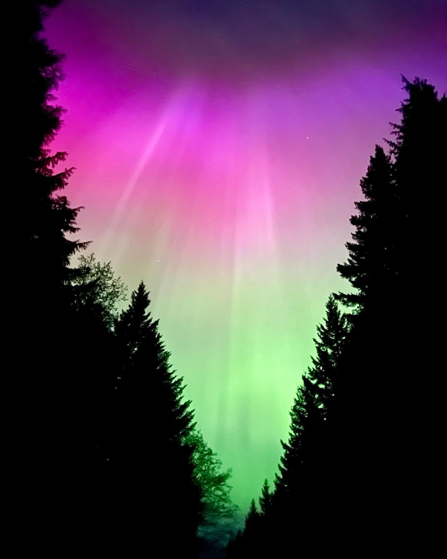 The dance between the immediate and the everlasting was tested during my first encounter with the Mother Nature light show. Hours spent with these above, an evening for the books, hope everyone got to enjoy! 

#whistler #tourismbc #aurora #aurorabore
