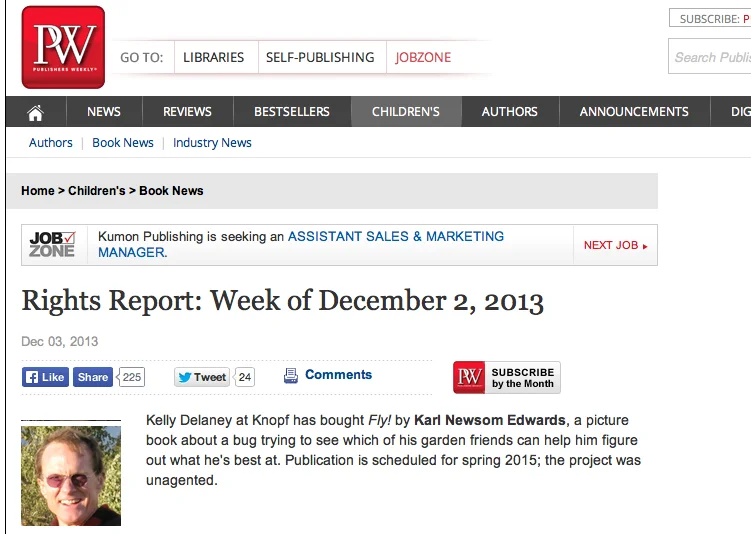 PW-Fly-blog.jpg