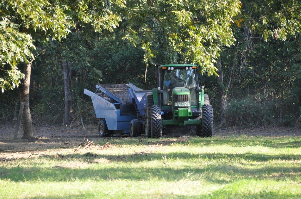 Harvester, carrying the final product