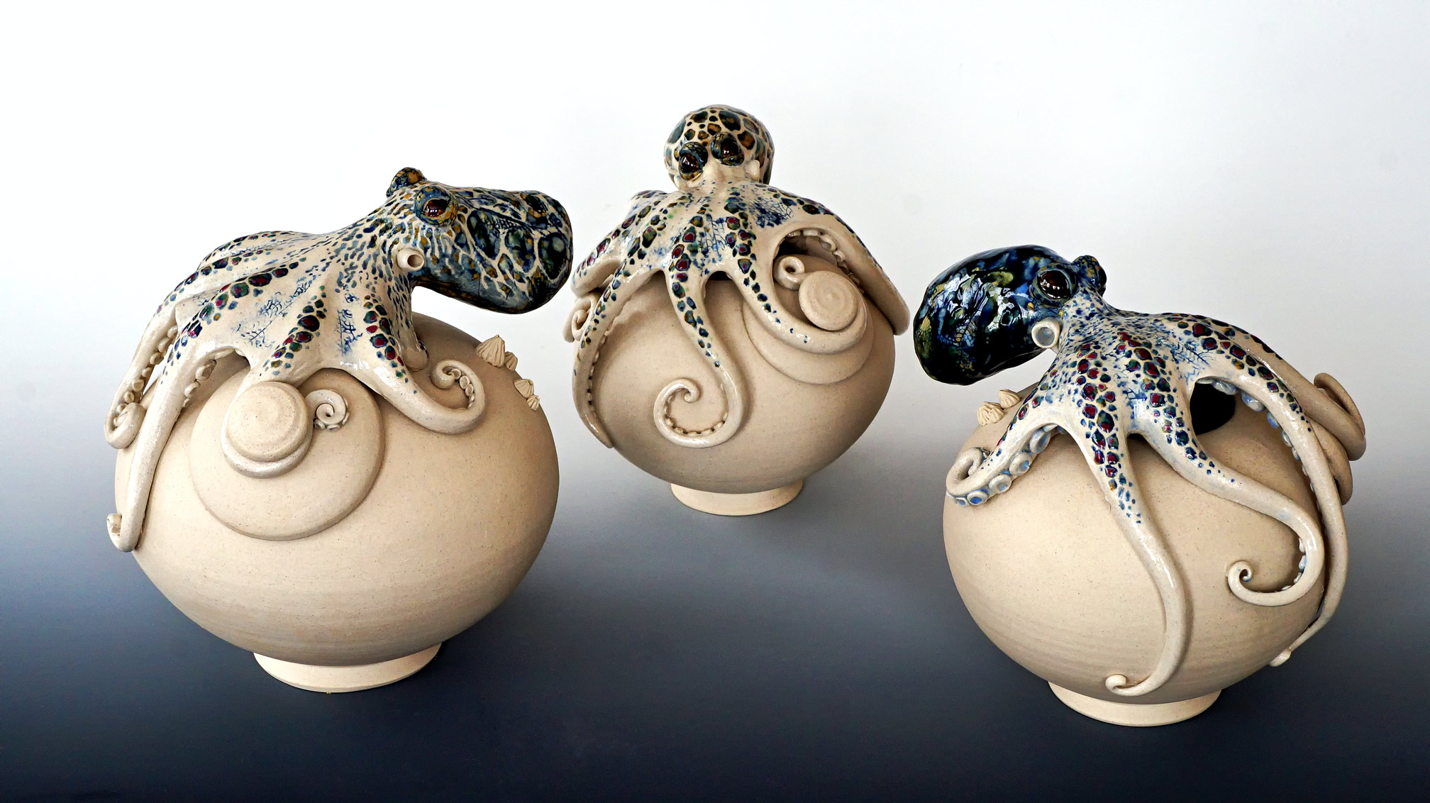 Octopuses that found a home