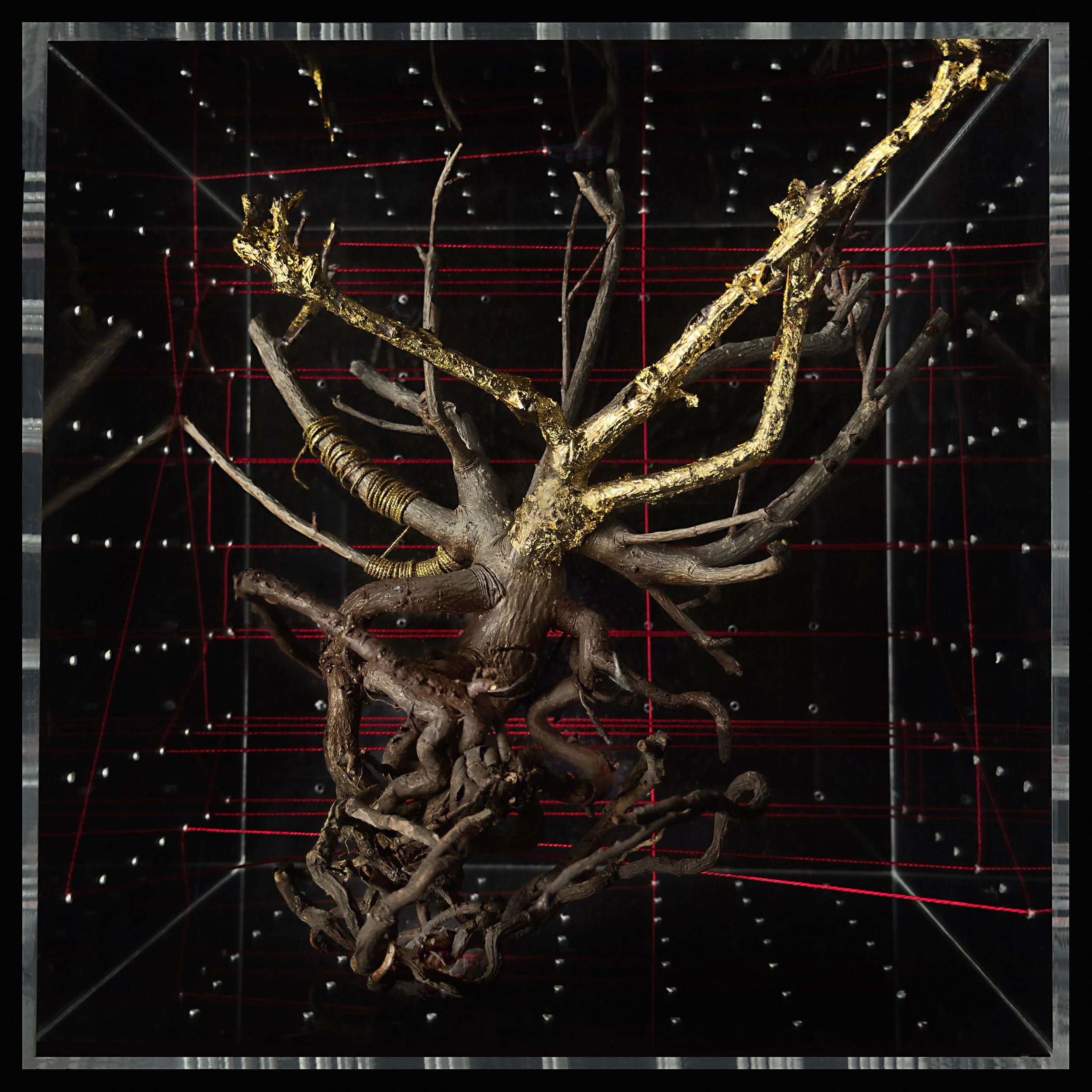 Red Thread © 2024,  24" x 24" archival pigment print, created for the Karuizawa Foto Fest 2025