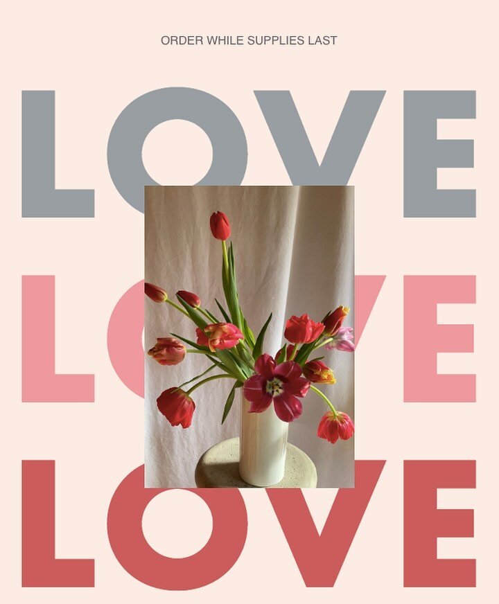 Celebrate Valentine&rsquo;s Day with 100% locally grown, sustainable flowers this year.

Luscious tulips directly from my farm (in February!) arranged in a gorgeous ceramic vase and delivered.

Pick up option also available.

Link in my bio to order 