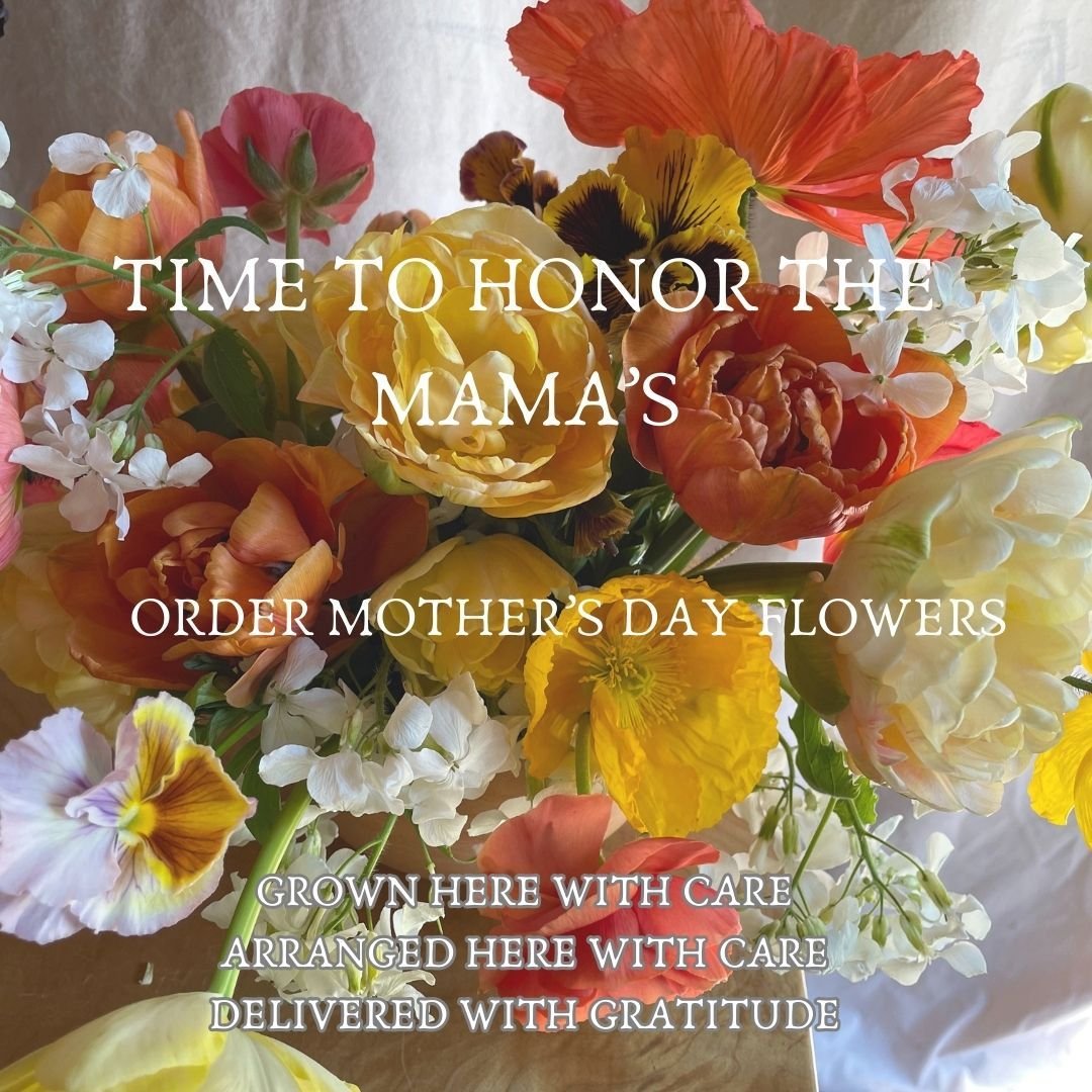 Speaking from personal experience, Mothering is a heavy load, a beautiful, glorious but heavy load. Show the Mama in your world that you see her and respect her.

Unique, long lasting, amazing blooms grown with sustainable practices, elegantly arrang