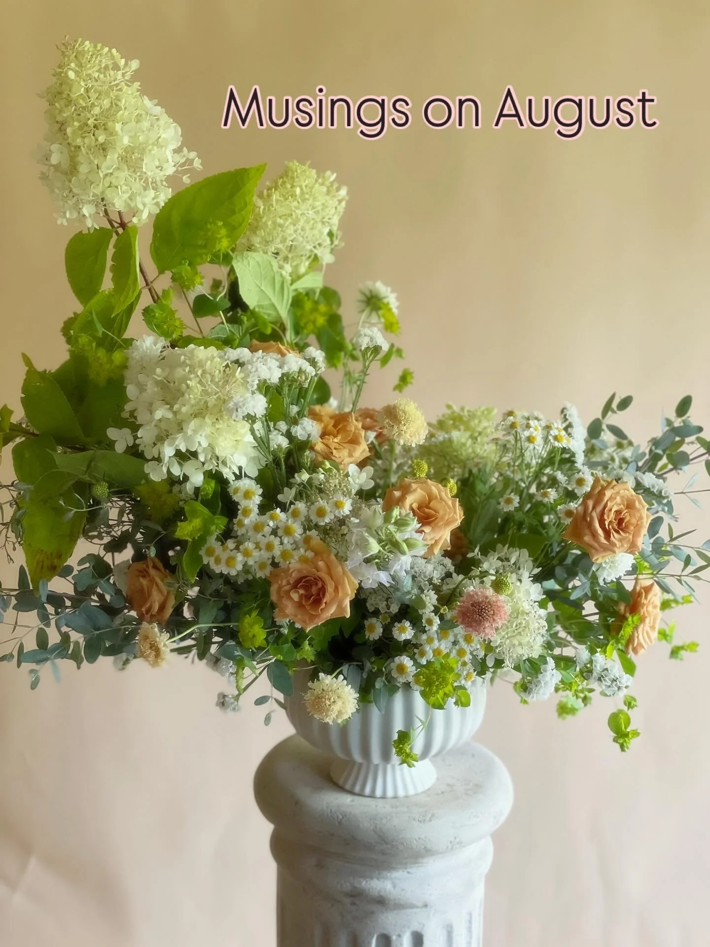 Musings on August as a Farmer

I&rsquo;m a self proclaimed perfectionist and farming certainly keeps me in that game. I will never have a perfect season and so each year I&rsquo;ll try to do it again and make it that much better. I was telling a farm