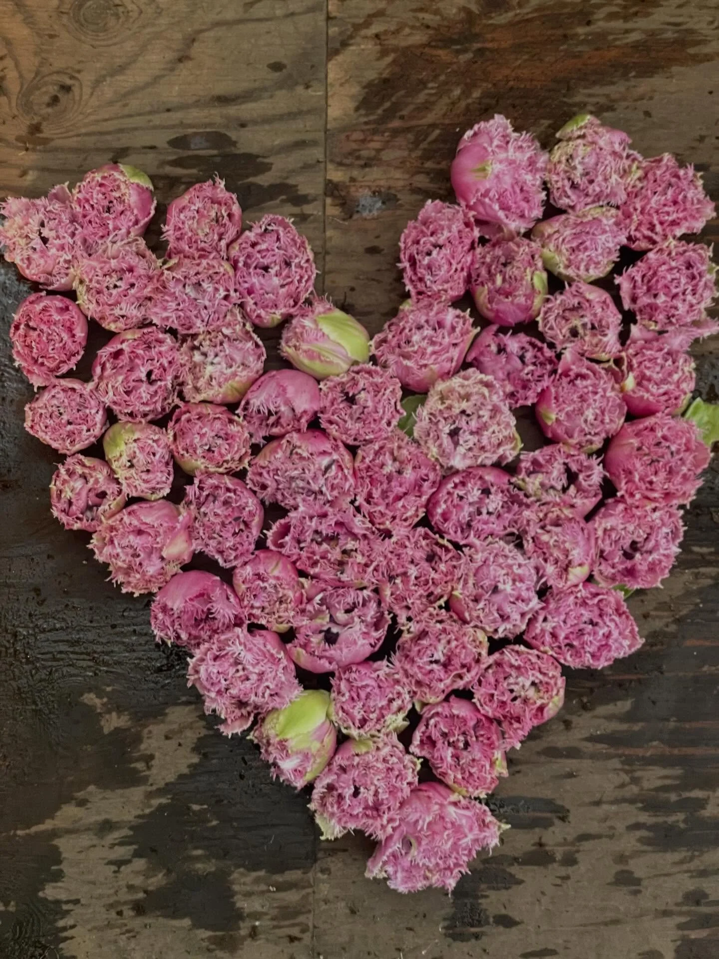 For all the tender hearts everywhere. I see you and I feel you.