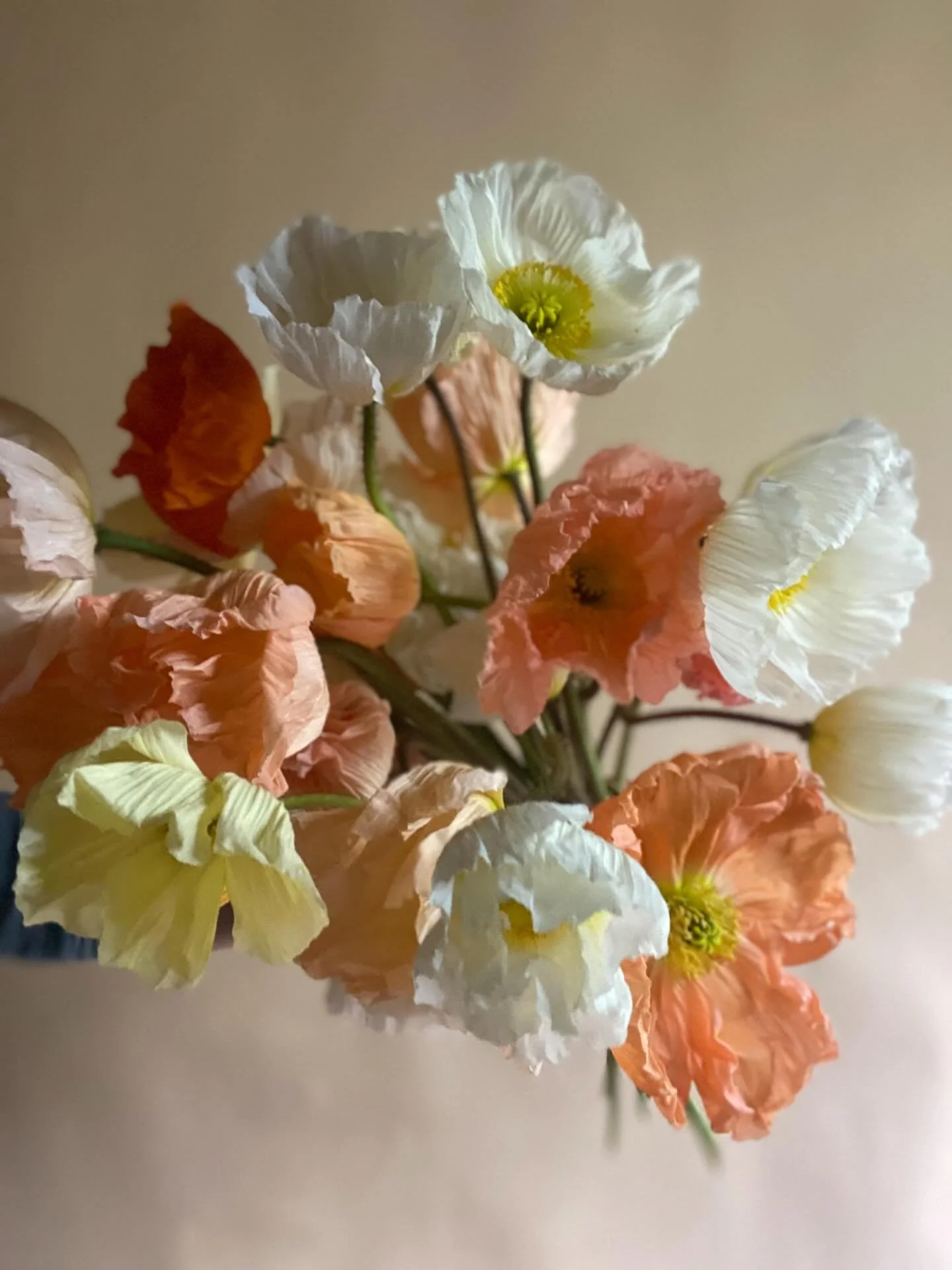 Soon it will be the day to celebrate the mothers. 

And as a mother myself I can say it is an immensely worthy thing to celebrate.

We are the wombs, the pain bearers, the body changers, the CEO&rsquo;s, the tenders, the grievers, the hopeful ones, t