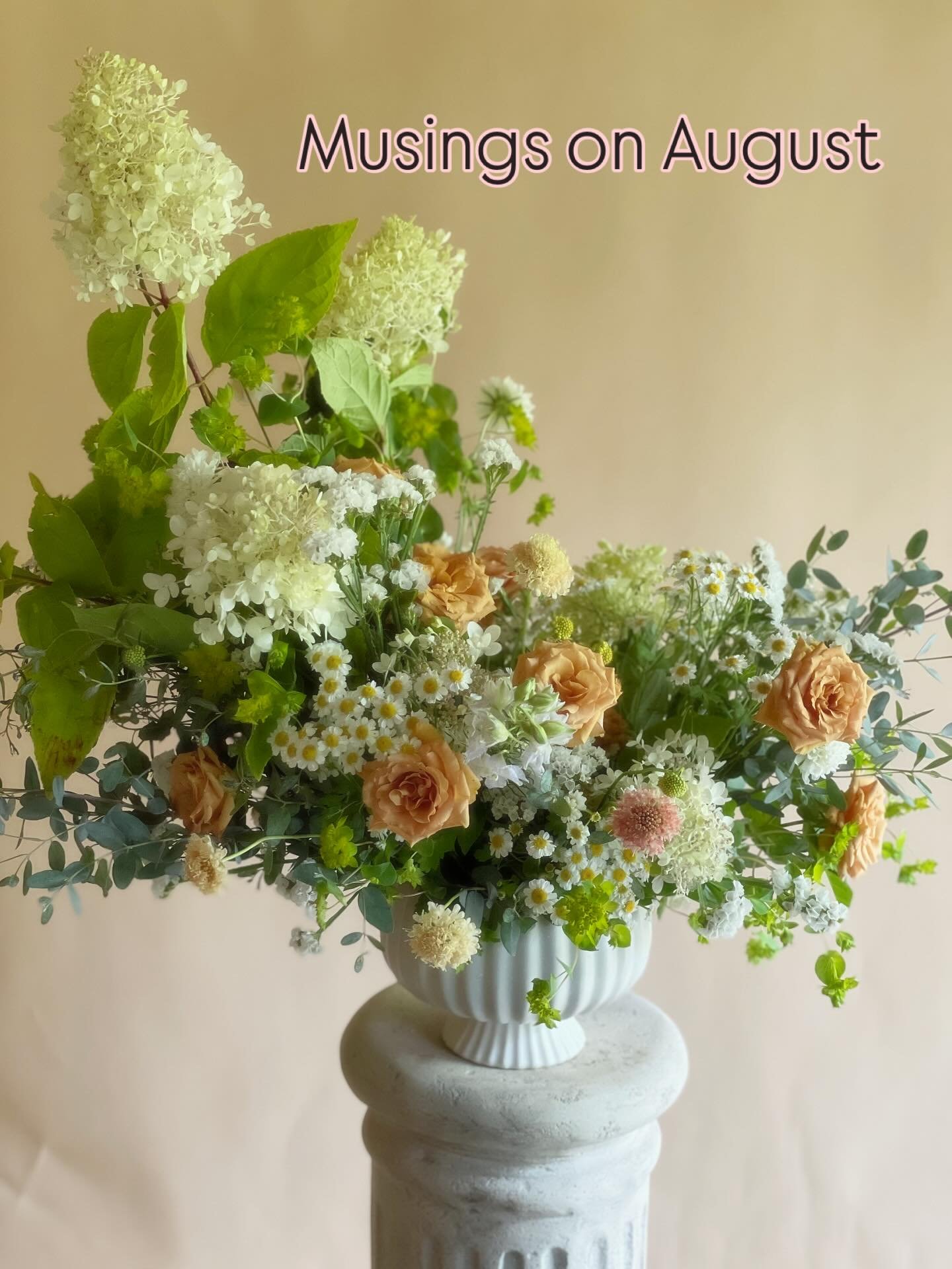 Musings on August as a Farmer

I&rsquo;m a self proclaimed perfectionist and farming certainly keeps me in that game. I will never have a perfect season and so each year I&rsquo;ll try to do it again and make it that much better. I was telling a farm