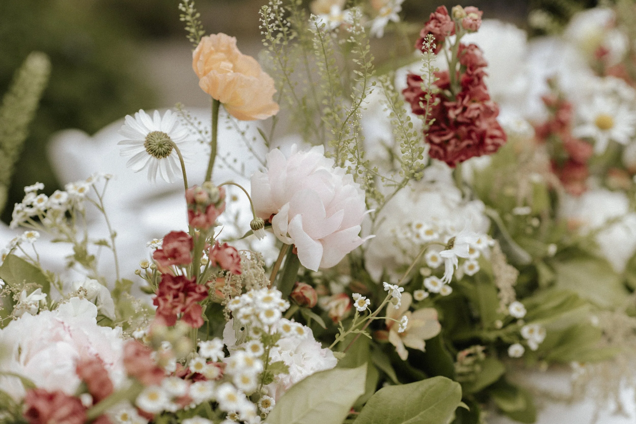 Close-up of a mixed flower bouquet with white daisies, pink and red flowers, and green leaves.