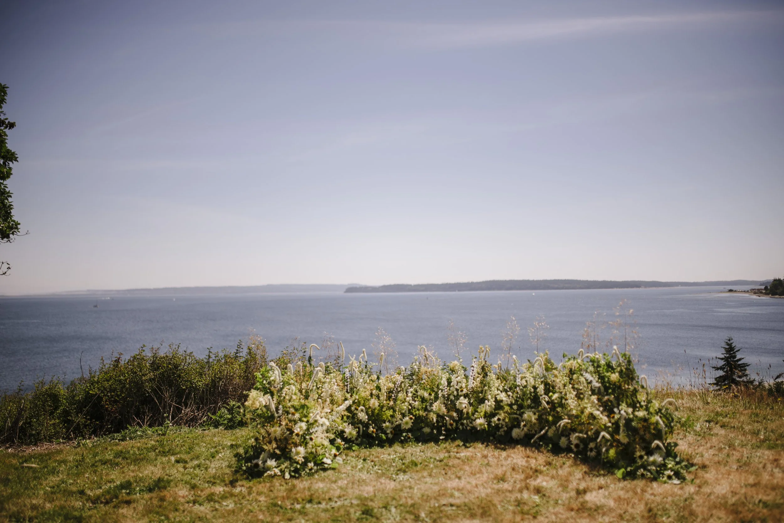 View of the ocean with a distant shoreline, clear sky, and flowering plants in the foreground