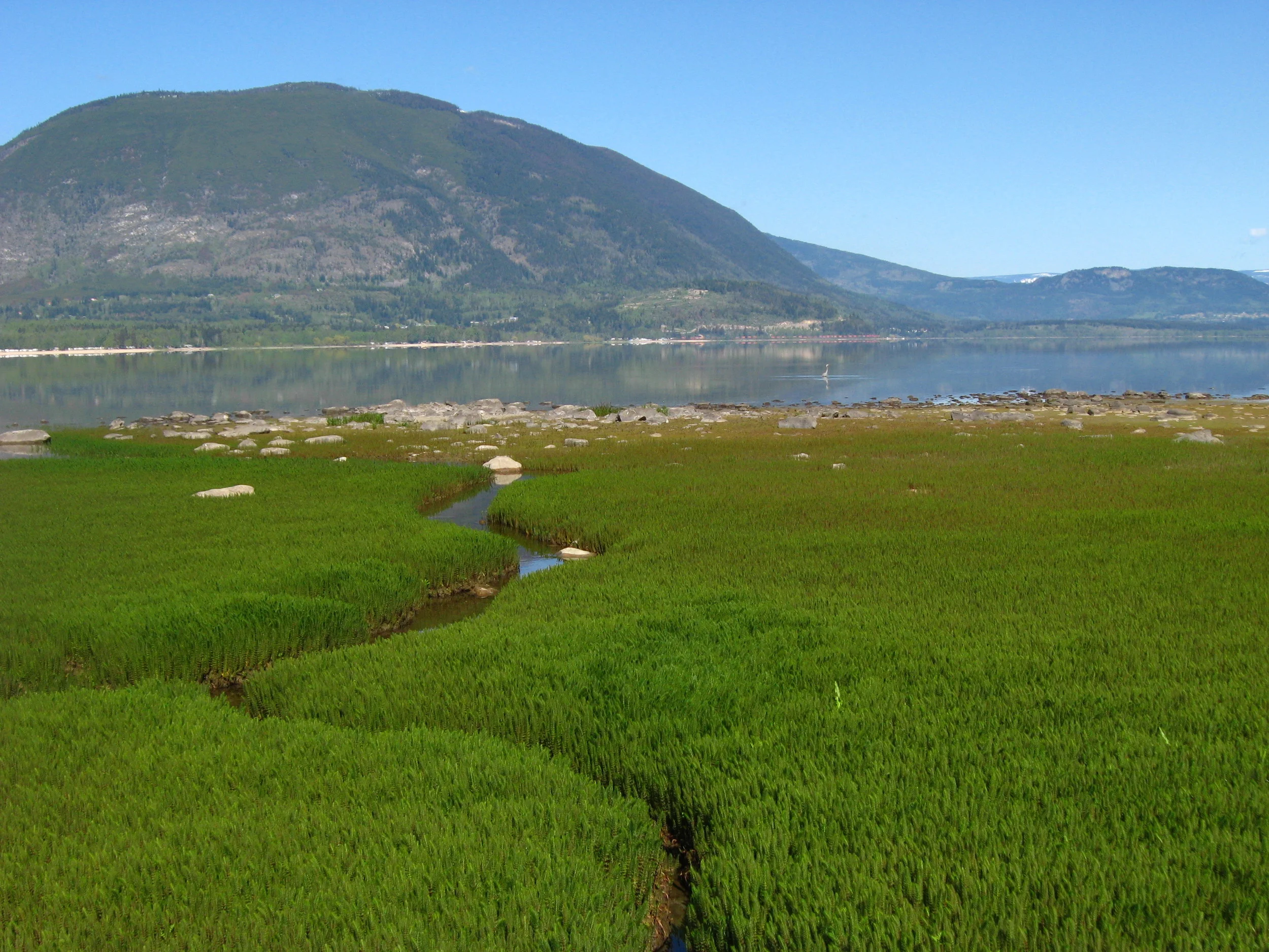 CPR 08 Salmon Arm 2815.jpg