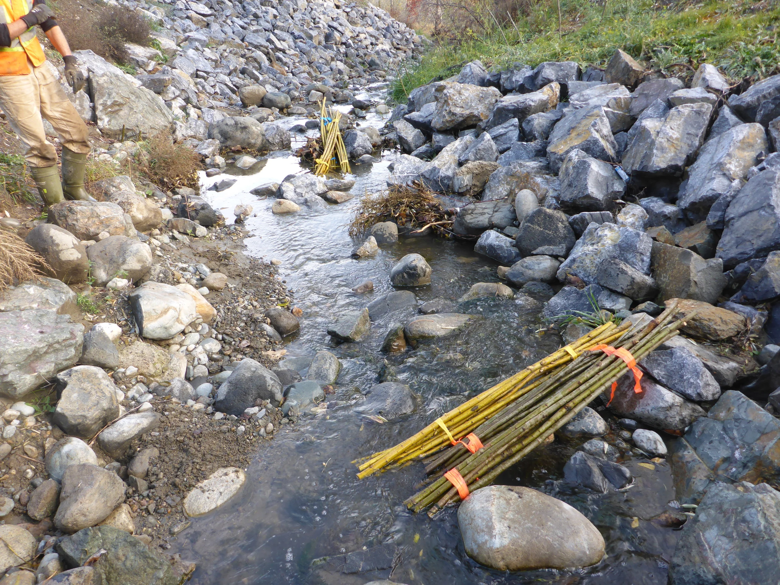 Springhill 15 05946.jpg