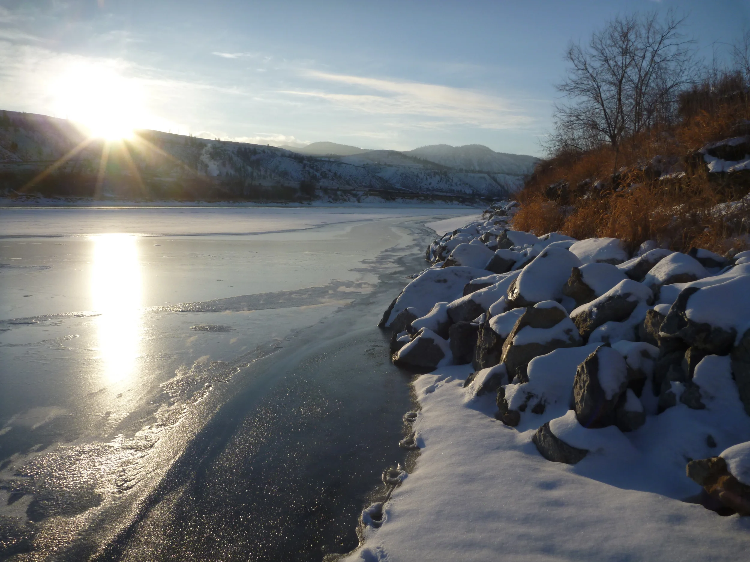 Collett 11 01404.jpg