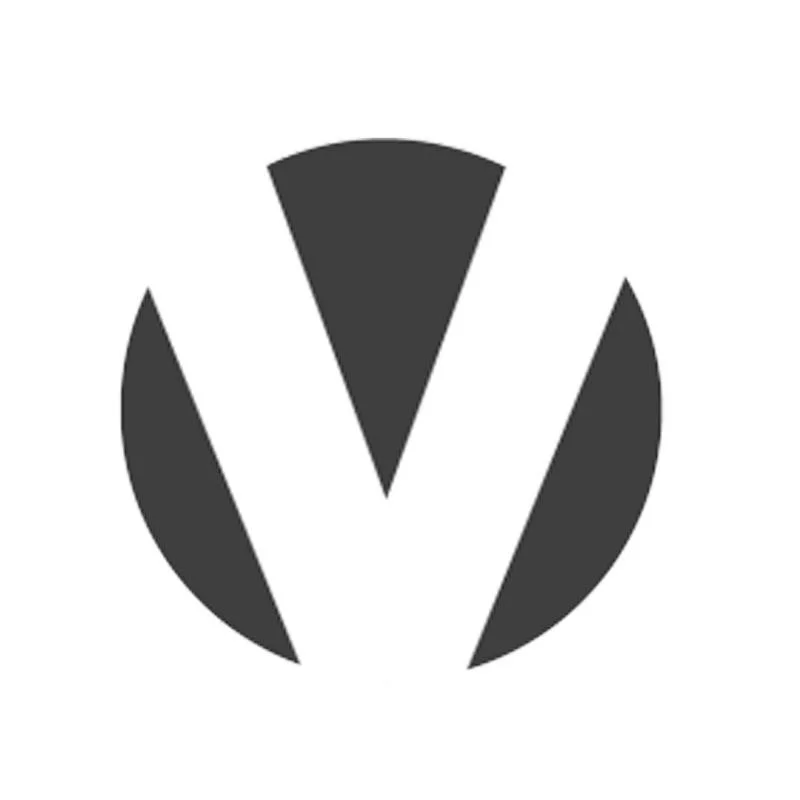 V Group