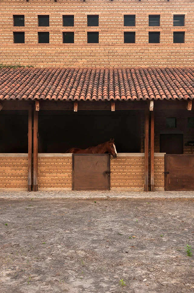 Villa_Señor_Amatlan_DNA_1029-copia.jpg