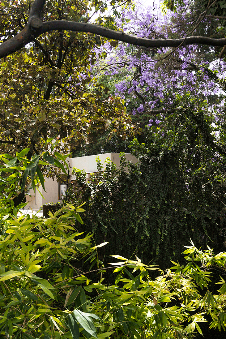 DVA_jardin_marzo_6921-copia.gif