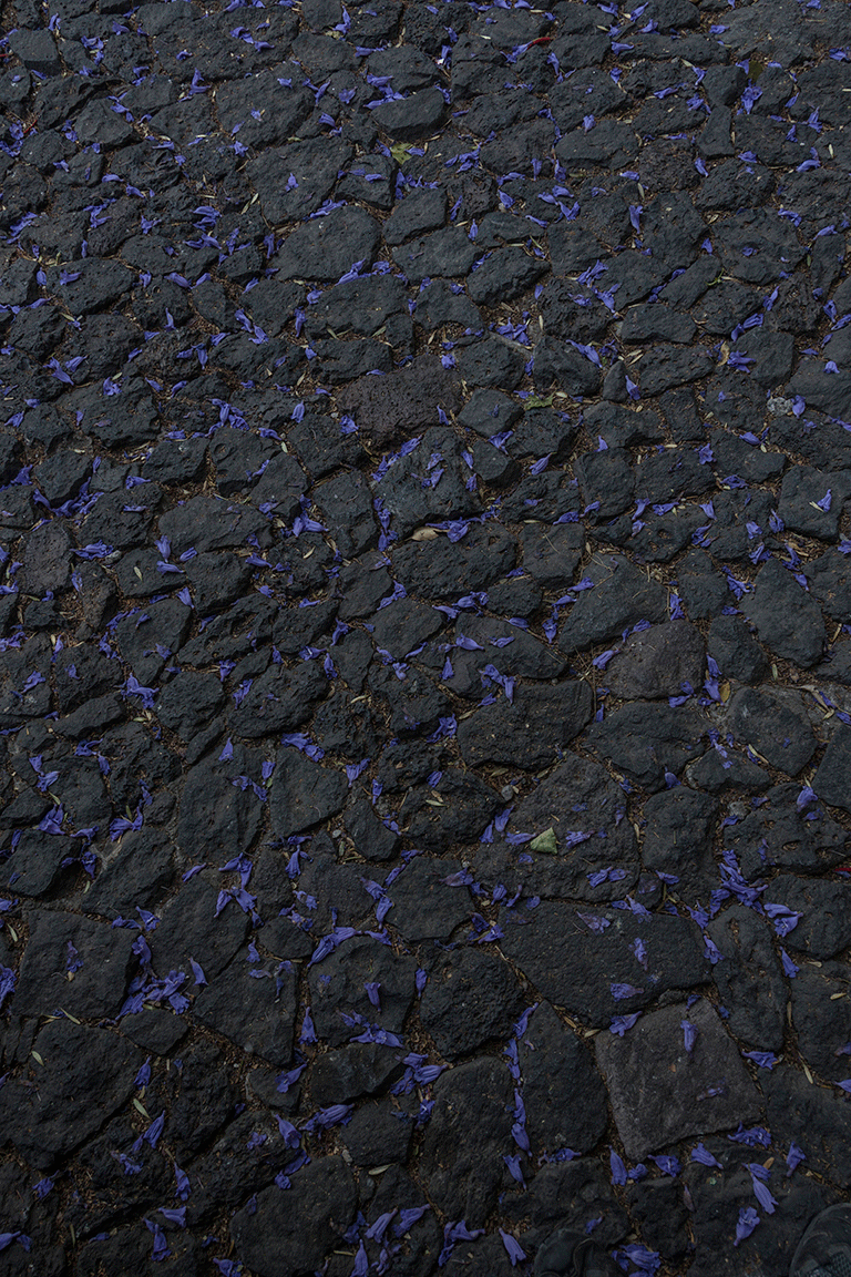 DVA_jardin_marzo_6979-copia.gif