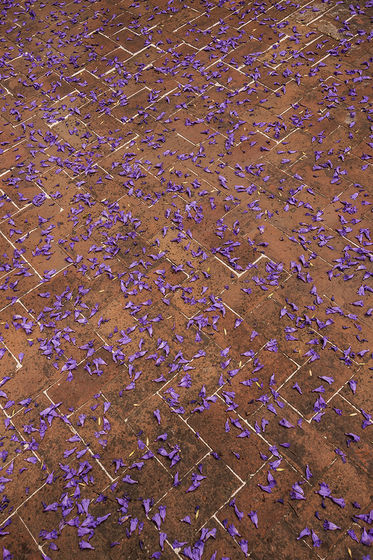 DVA_jardin_marzo_6882-copia.gif