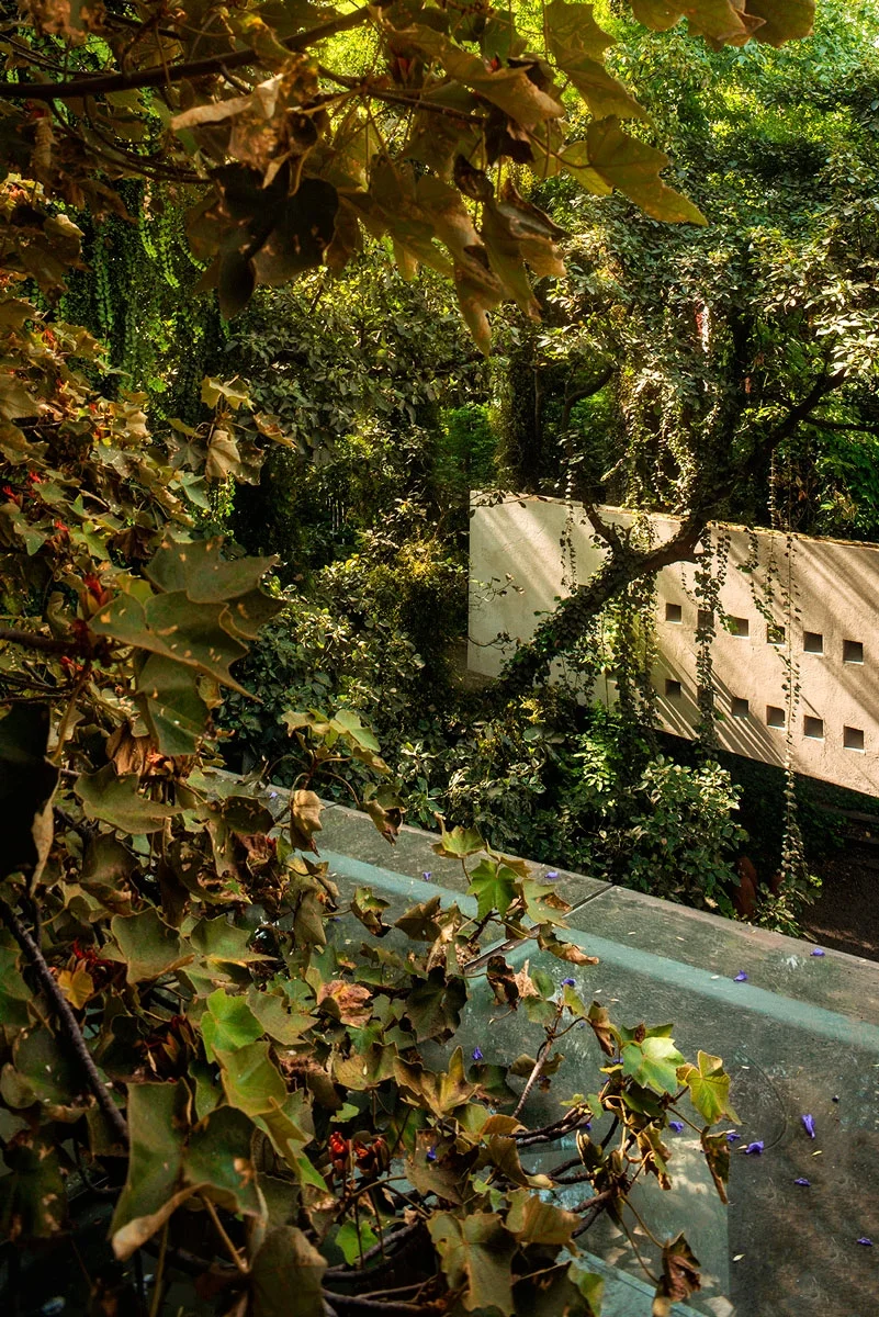 DVA_jardin_marzo_6857-copia.jpg