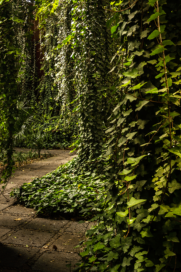 DVA_jardin_marzo_6896-copia.gif