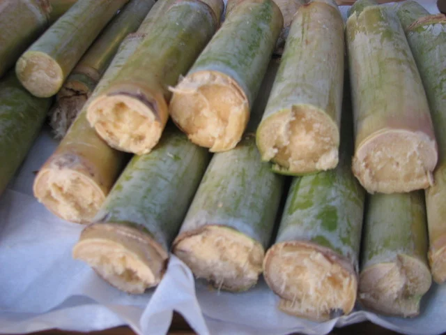 15sugar-cane-Nile.jpg