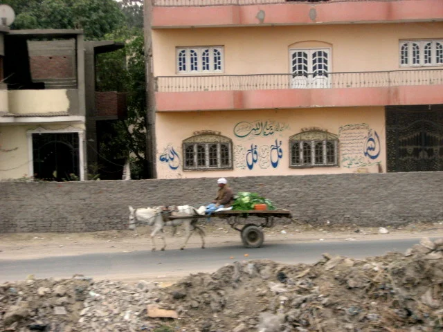 19donkey-cartCairo.jpg