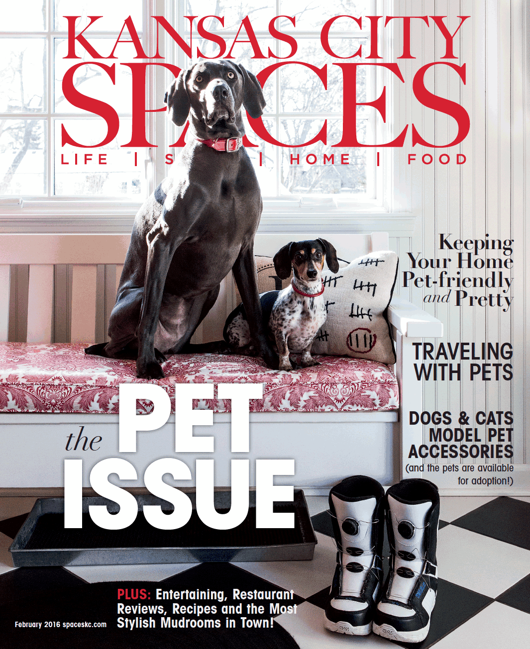 Michelle-Oettmeier-KC-Spaces-Feb-2016.png