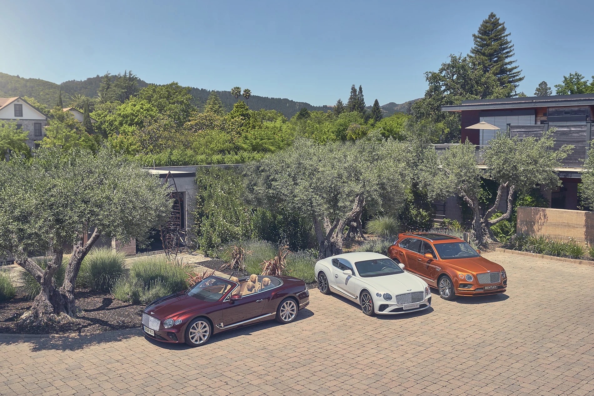 Sonoma.PWC 3.jpg