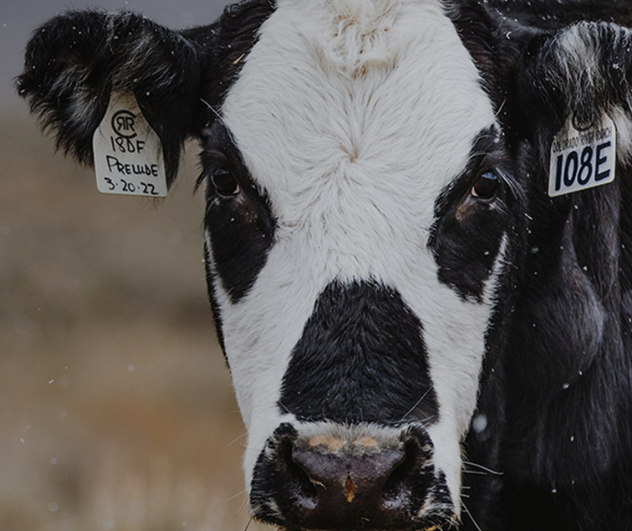 Screenshot 2025-04-30 at 4.48.57 PM.png