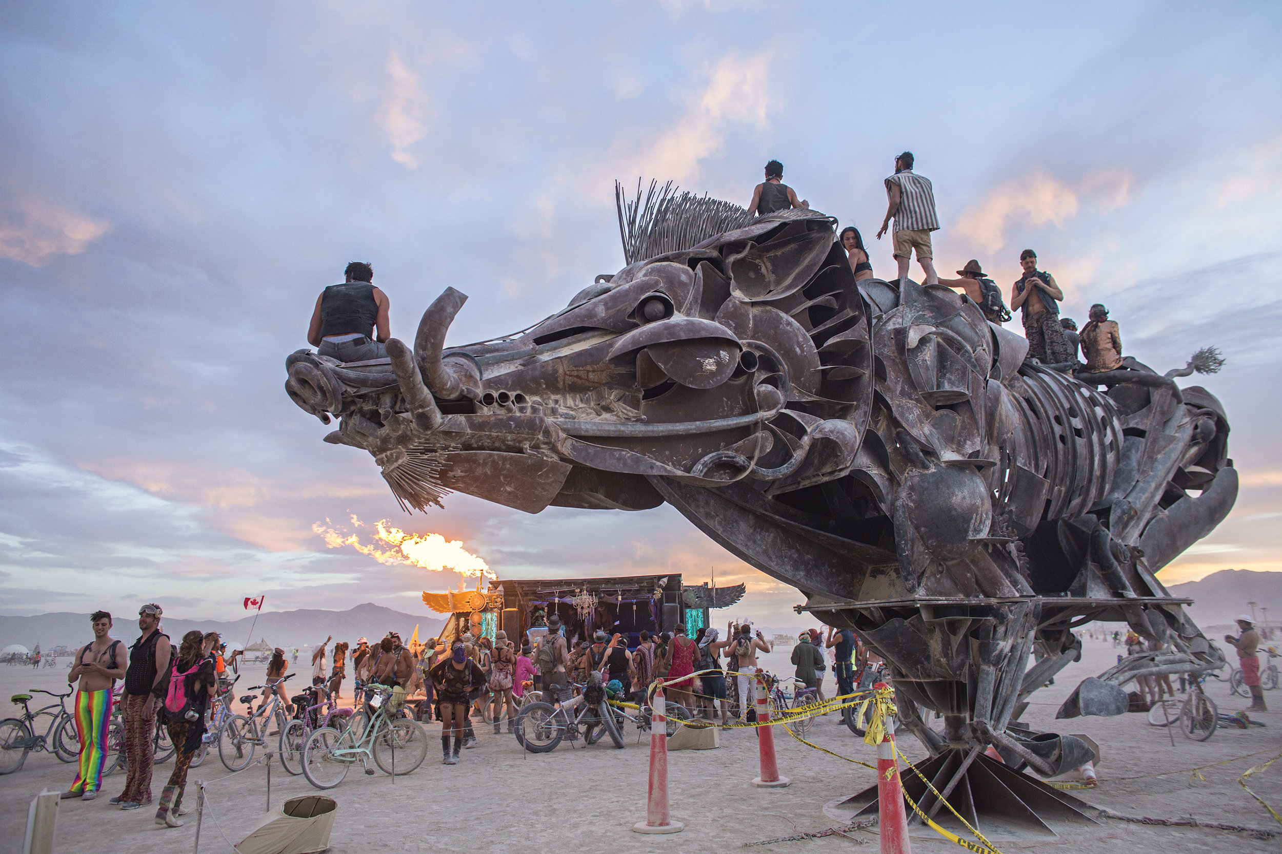 hog-sculpture-burning-man-black-rock-desert-nevada.jpg