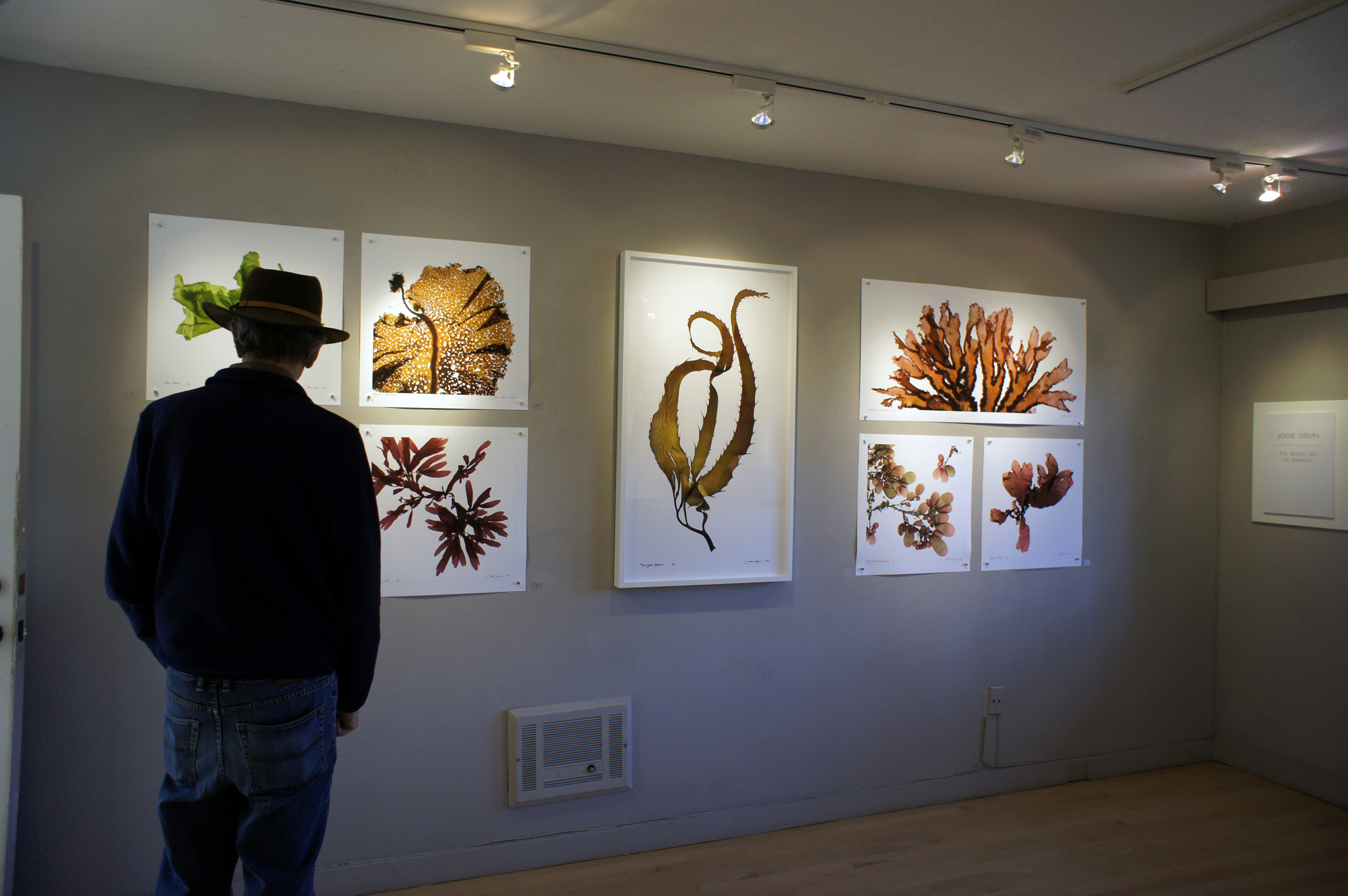 BolinasMuseumGallery2.jpg