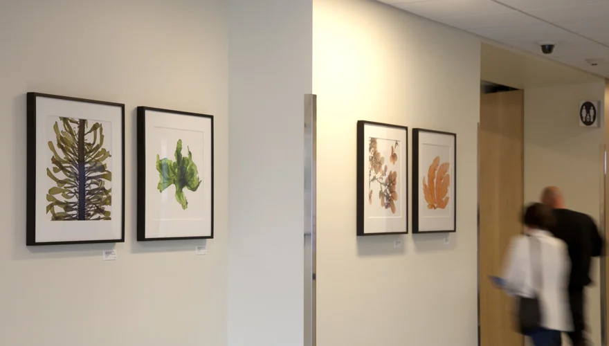 UCSF18_x18_.jpg