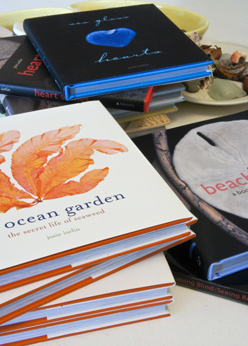  An Ocean Garden: The Secret Life of Seaweed: 9781419711701:  Iselin, Josie: Books