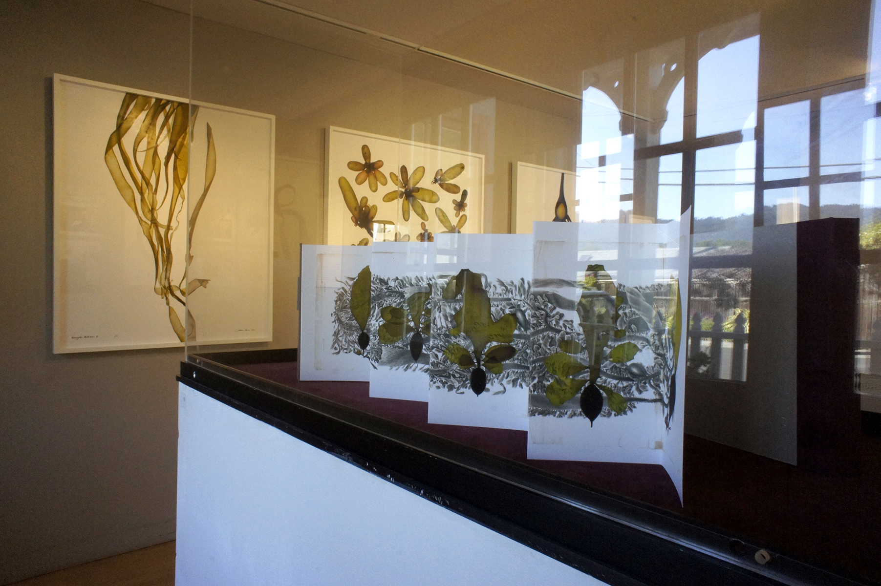 BolinasMuseumGallery5.jpg