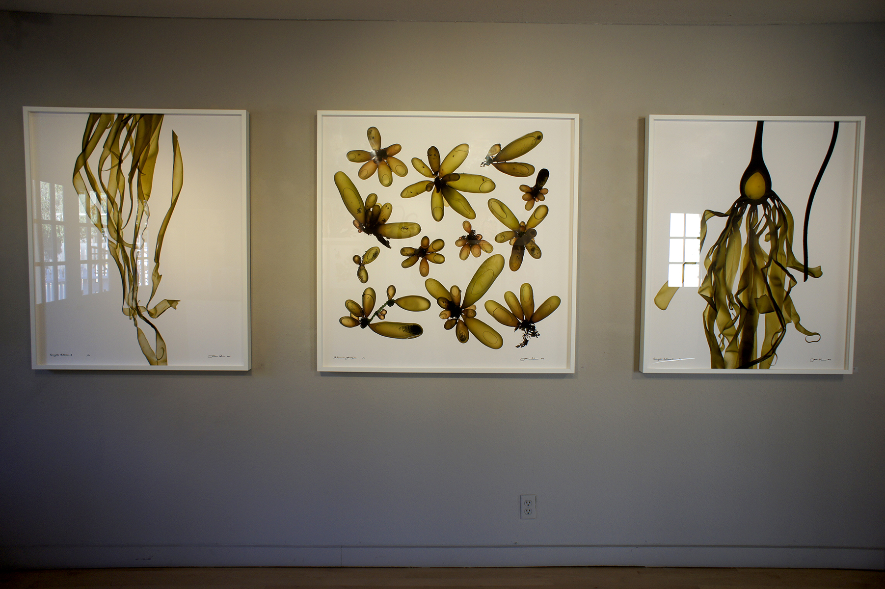 BolinasMuseumGallery6.jpg