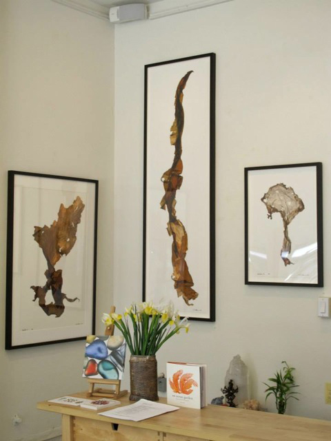 InclusionsGallery3March2014.jpg