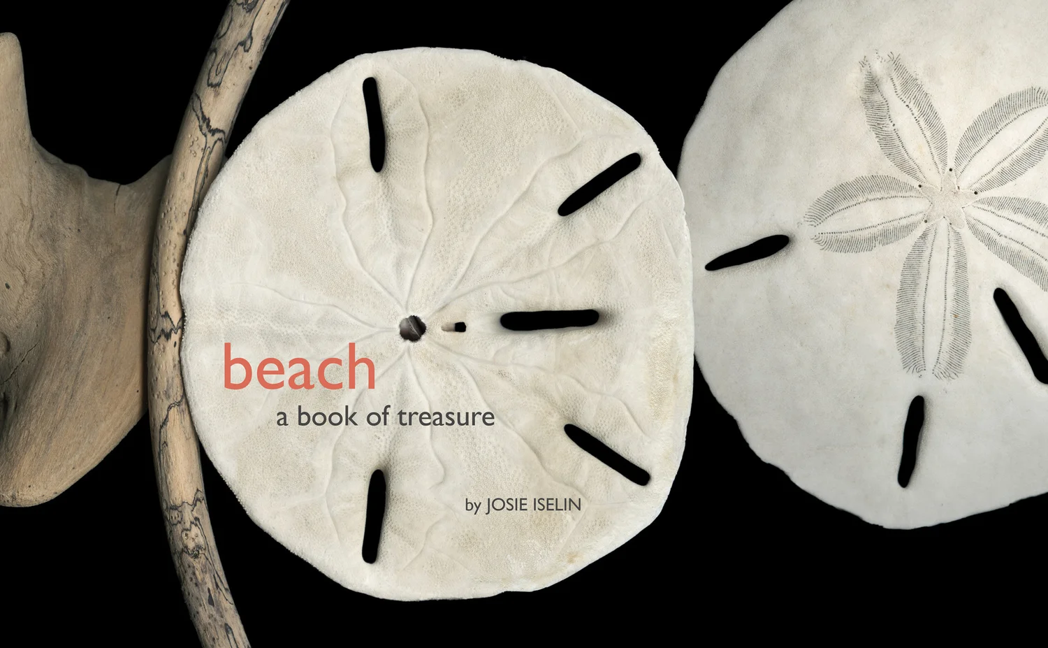 Beach_+A+Book+of+Treasure.jpeg