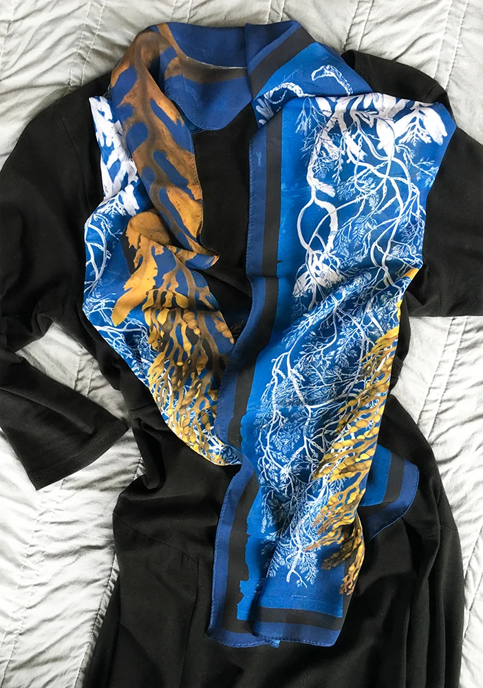StephancystisBlue&Gold3.jpg