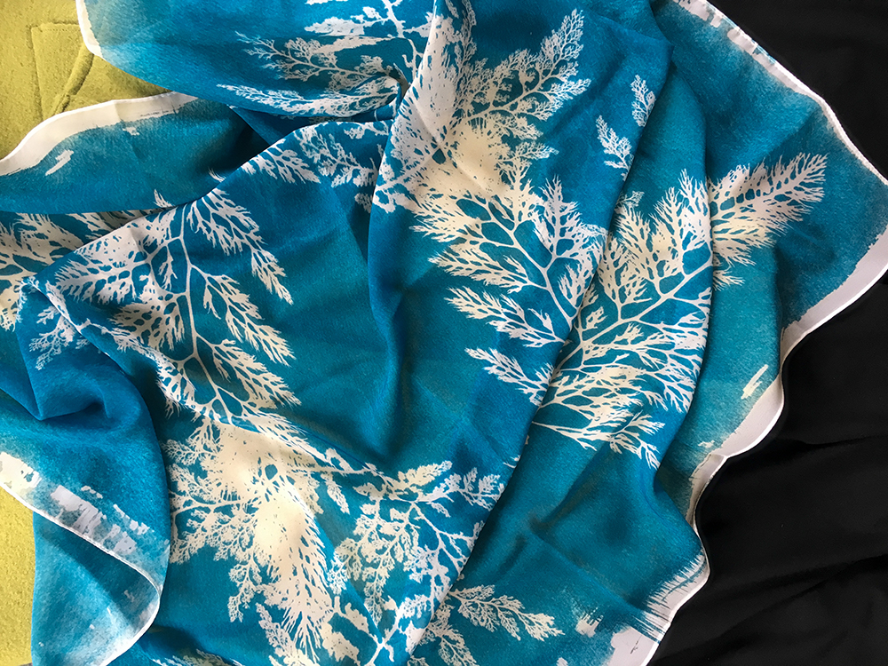 MicrocladiaGreenBlue2.jpg