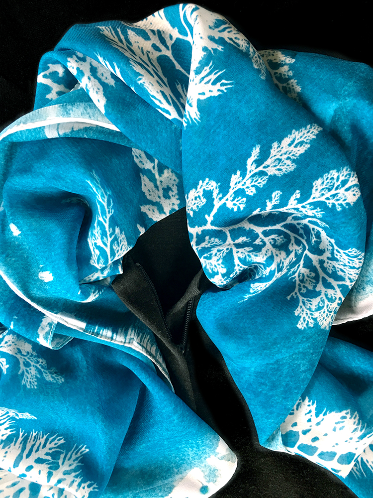 MicrocladiaGreenBlue4.jpg