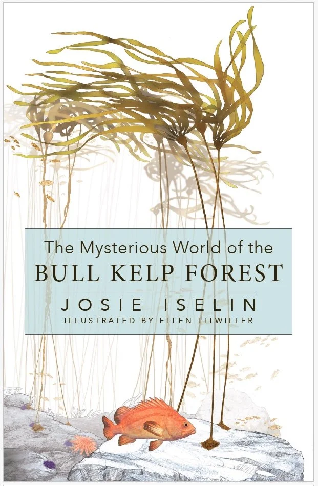 HeydayKelpForest Cover7-8-25.jpg