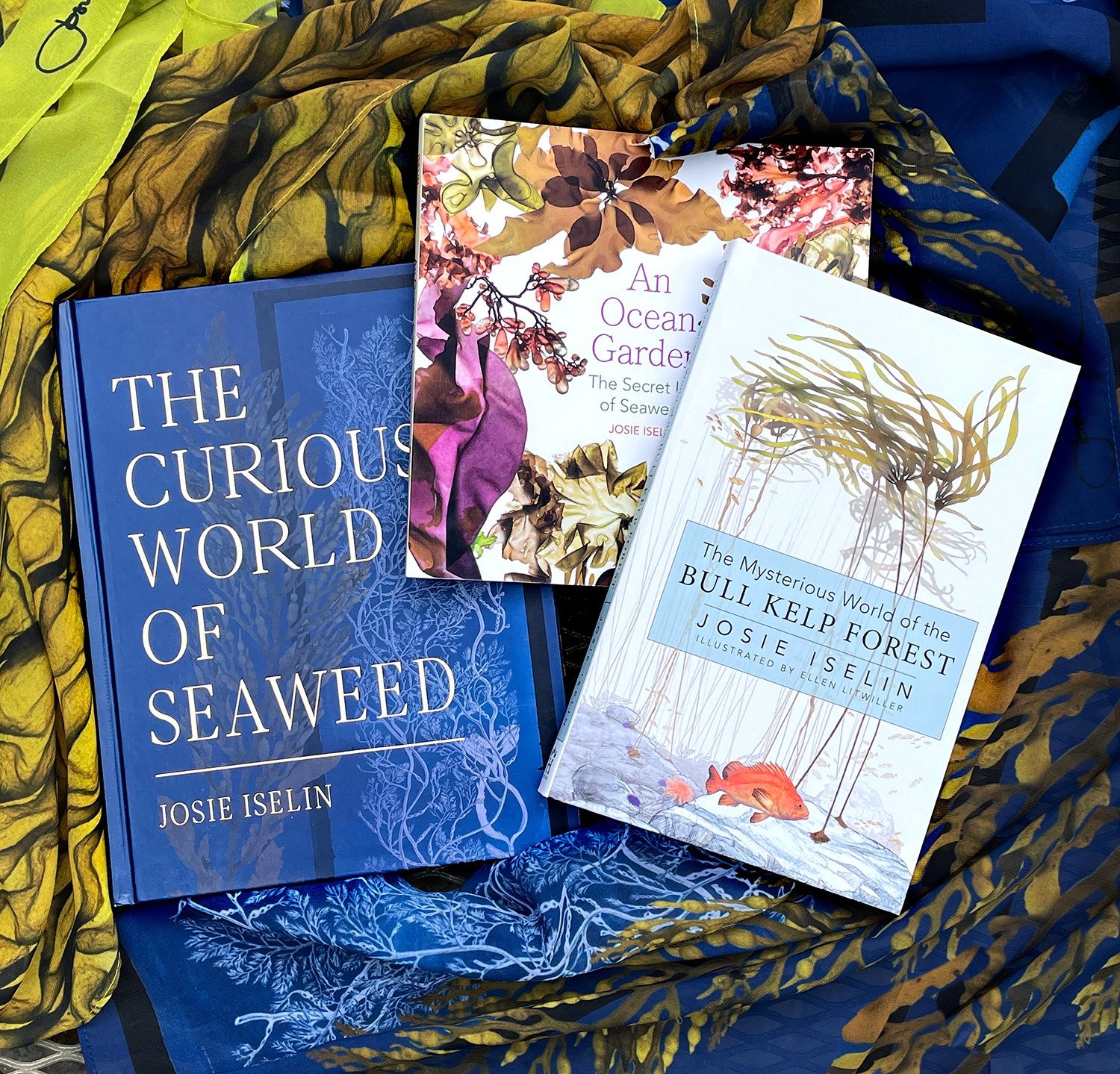 3JosieIselinSeaweedBooks_1500px.jpg