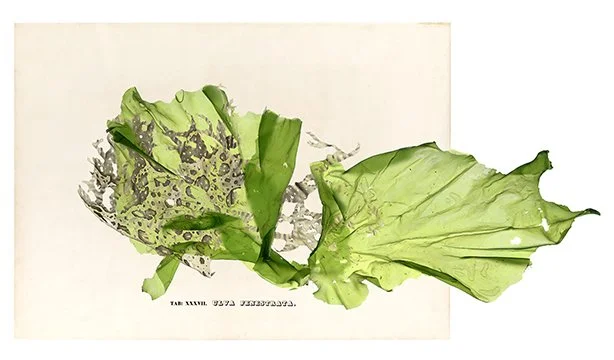 International Shipping