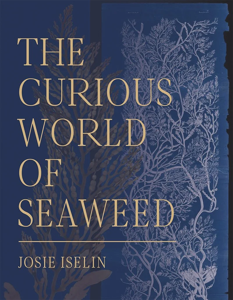 TheCuriousWorldofSeaweed.jpg